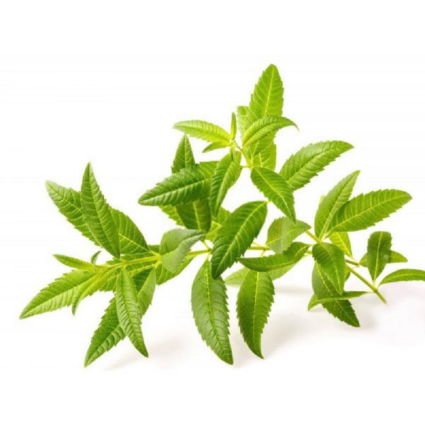 به لیمو، 100 گرمی