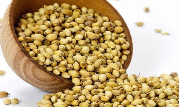 تخم گشنیز، 100 گرمی