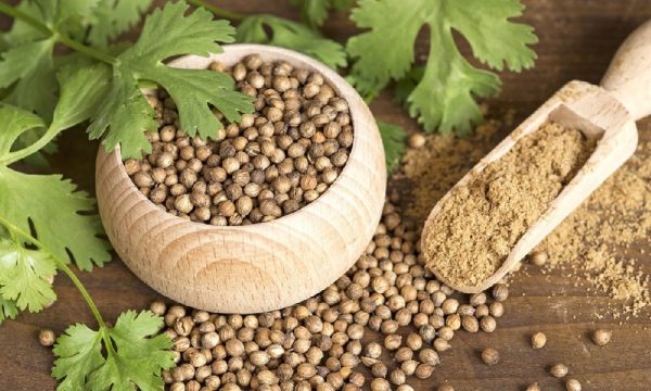 تخم گشنیز، 100 گرمی