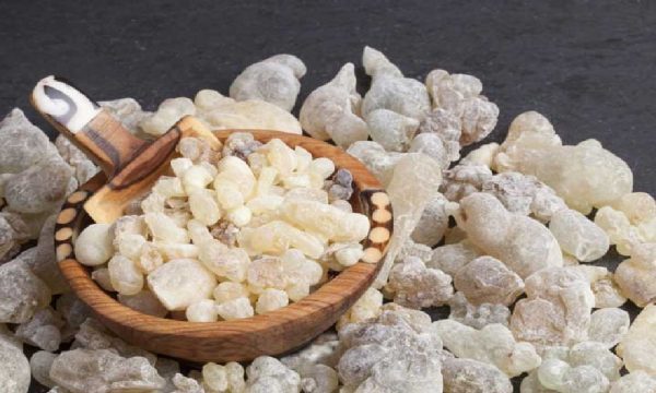 کُندر خوراکی اعلاء، 100 گرمی