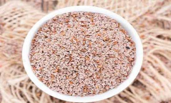 اسپرزه، 100 گرمی