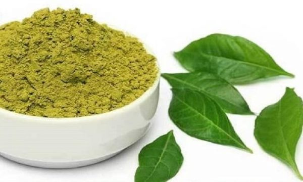 حنای بی رنگ، 100 گرمی