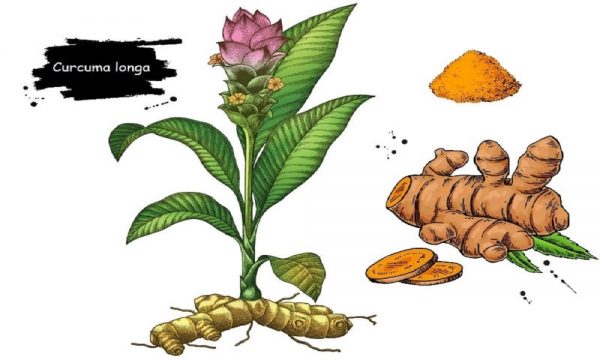 صابون زردچوبه